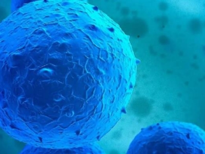 再傳喜訊！達博生物“人臍帶間充質干細胞注射液”獲臨床試驗默示許可