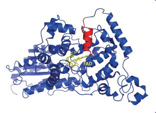 E10D
