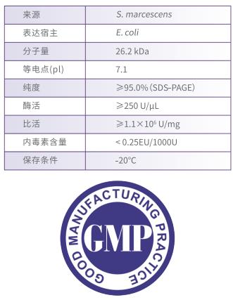 GMP